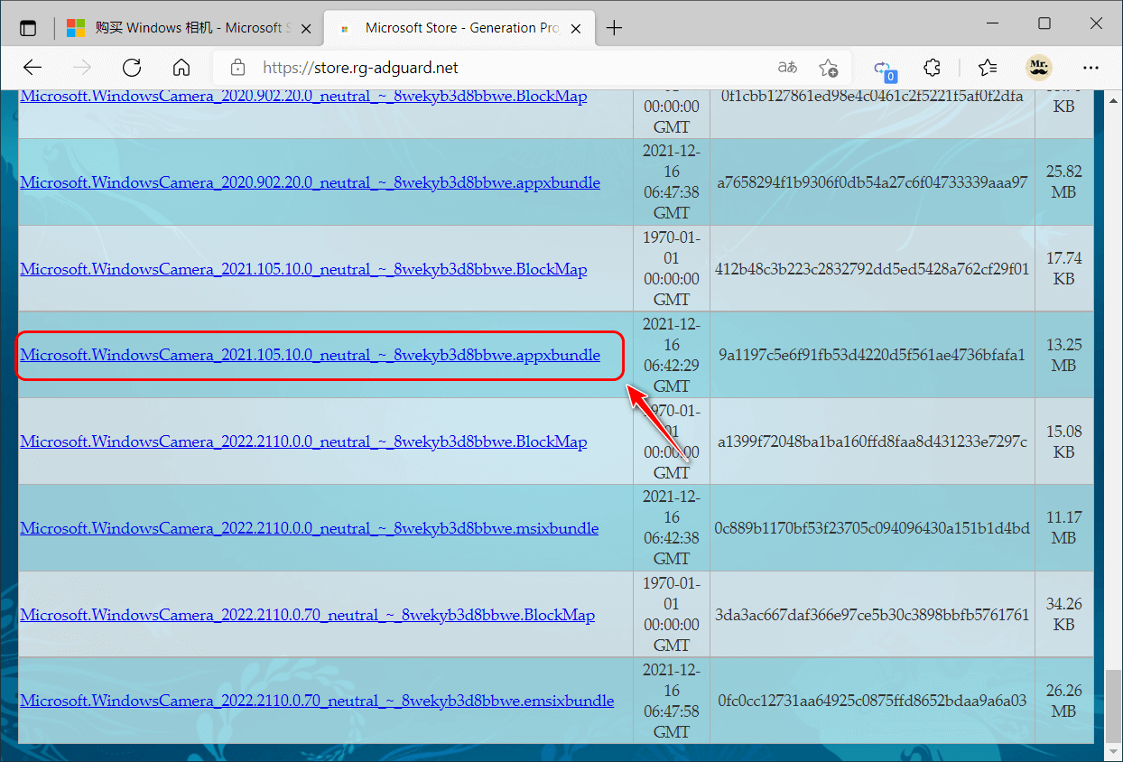 win10应用商店下载的应用安装包(win10应用商店下载的软件在哪个文件夹)下载