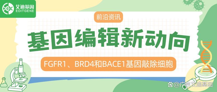 电子科技前沿最新资讯网(电子科技前沿最新资讯网站)下载