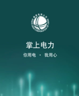 电网应用app下载(电网应用app下载安装)下载