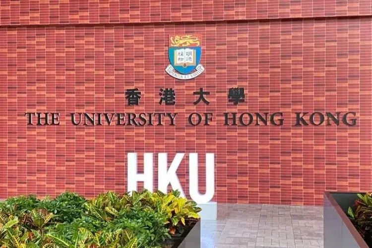 香港中文大学资讯与科技(香港中文大学资讯与科技专业排名)下载