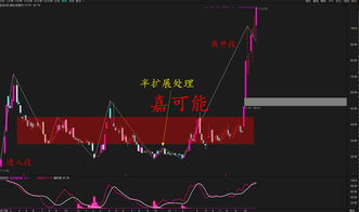 首智科技资讯股票(首智新能源科技有限公司)下载